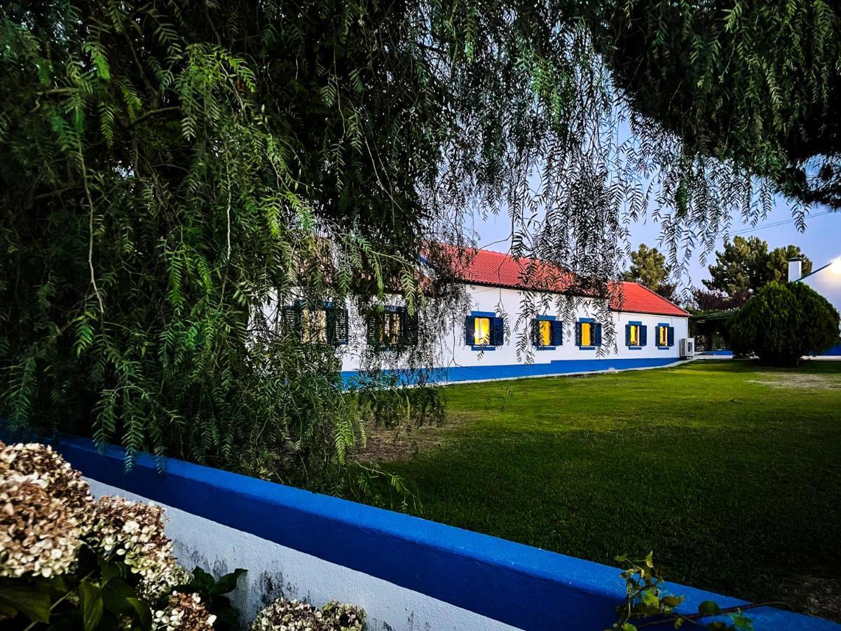 Quinta Do Cutato - Beatriz Guest House - Sotao Santo Estevao  Eksteriør billede